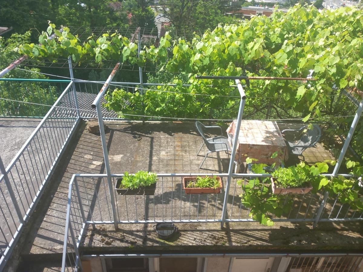 Apartmans Adi SJJ Eksteriør billede